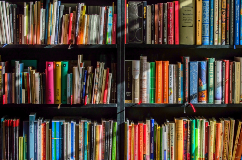 boutique-VILLENEUVE LOUBET-min_books_bookstore_book_reading_shop_writer_sale_books_read-822866